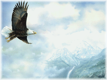 Soaring Eagle