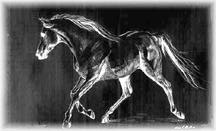 Running by Ann Colbert