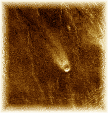 Wind streams on Venus