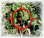 Ambushing the ambusher