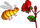 Busy Bee
