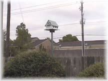 Lonely birdhouse