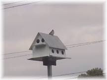 Bird nesting in birdhouse