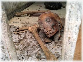 Damaged Mummy