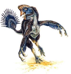 Turkesaur