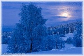 A snowscape of frost  and moon