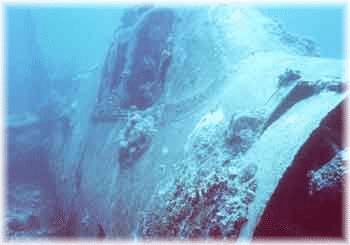 Submerged Hellcat