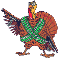 Turkey goes a hunting.