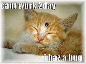I has a bug...