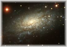 Galaxy ngc3621