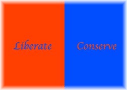 Flag of Politica