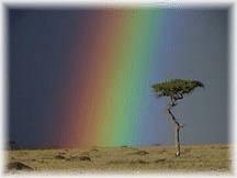 After the storm in Tanzania
