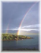 Rainbow Notion