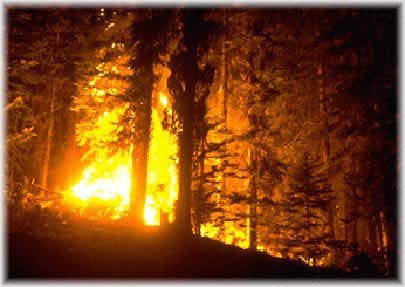 Texas Wildfires from Space--June 2011
