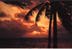 Cayman Sunrise