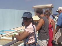 Diane at the Turtle Farm