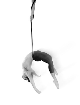 Jonathan Poretta from the cast of Whim W'him