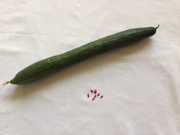 One small pink seed produces 30--20