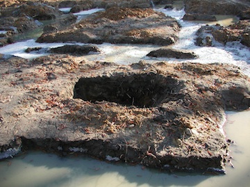 Grave unearthed on Watts Street, Durham North Carolina.