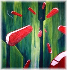 The magic pill by d. sauve