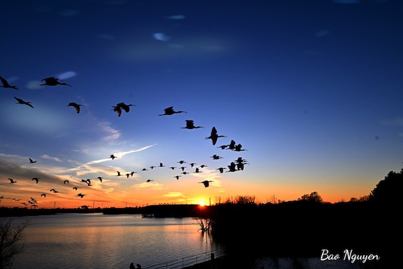 Sunset